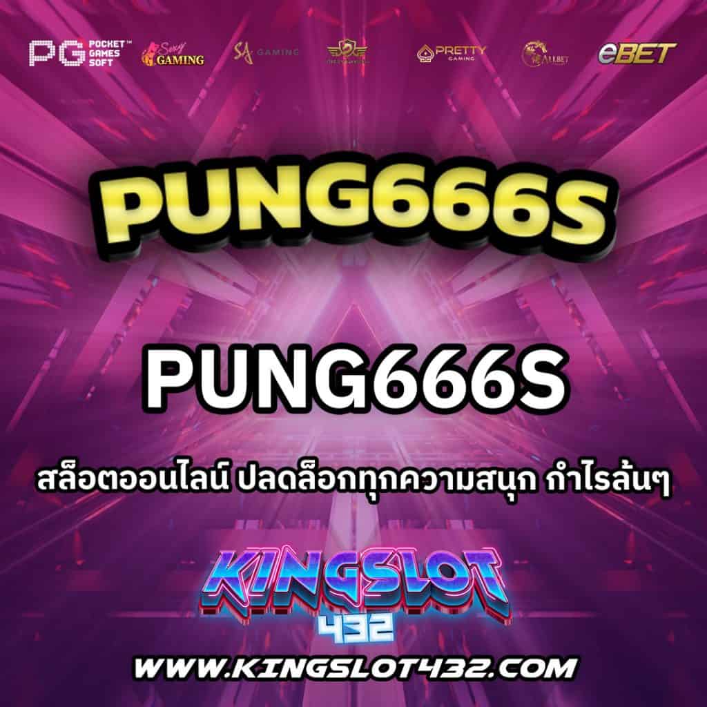 Pung666s